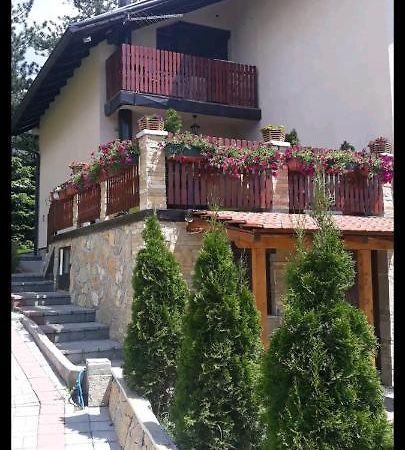 Apartment Niva Zlatibor Exteriör bild