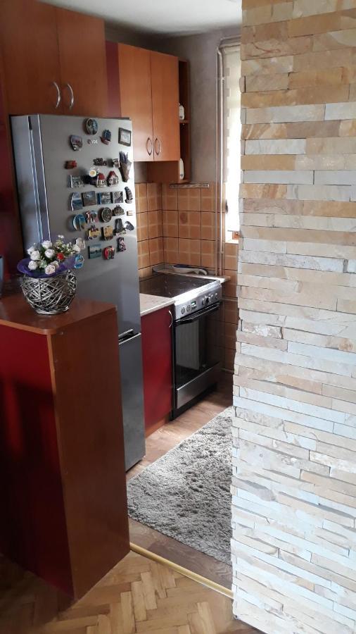 Apartment Niva Zlatibor Exteriör bild