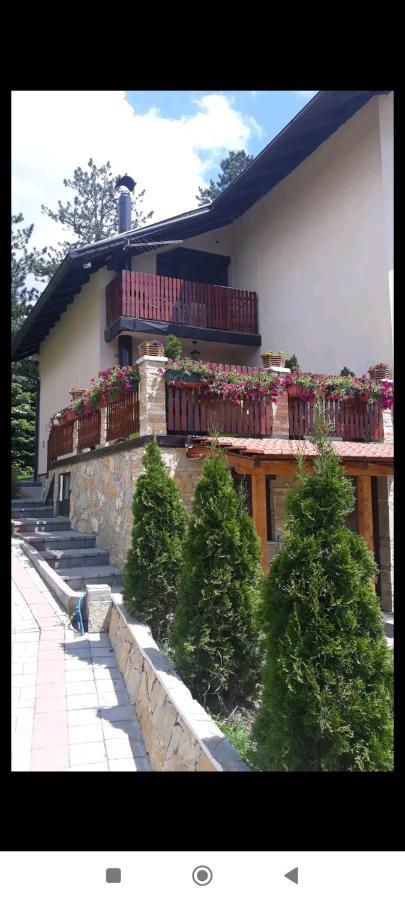 Apartment Niva Zlatibor Exteriör bild