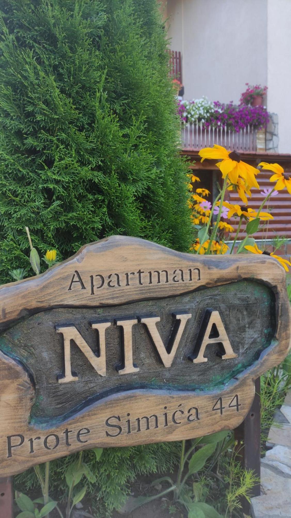 Apartment Niva Zlatibor Exteriör bild